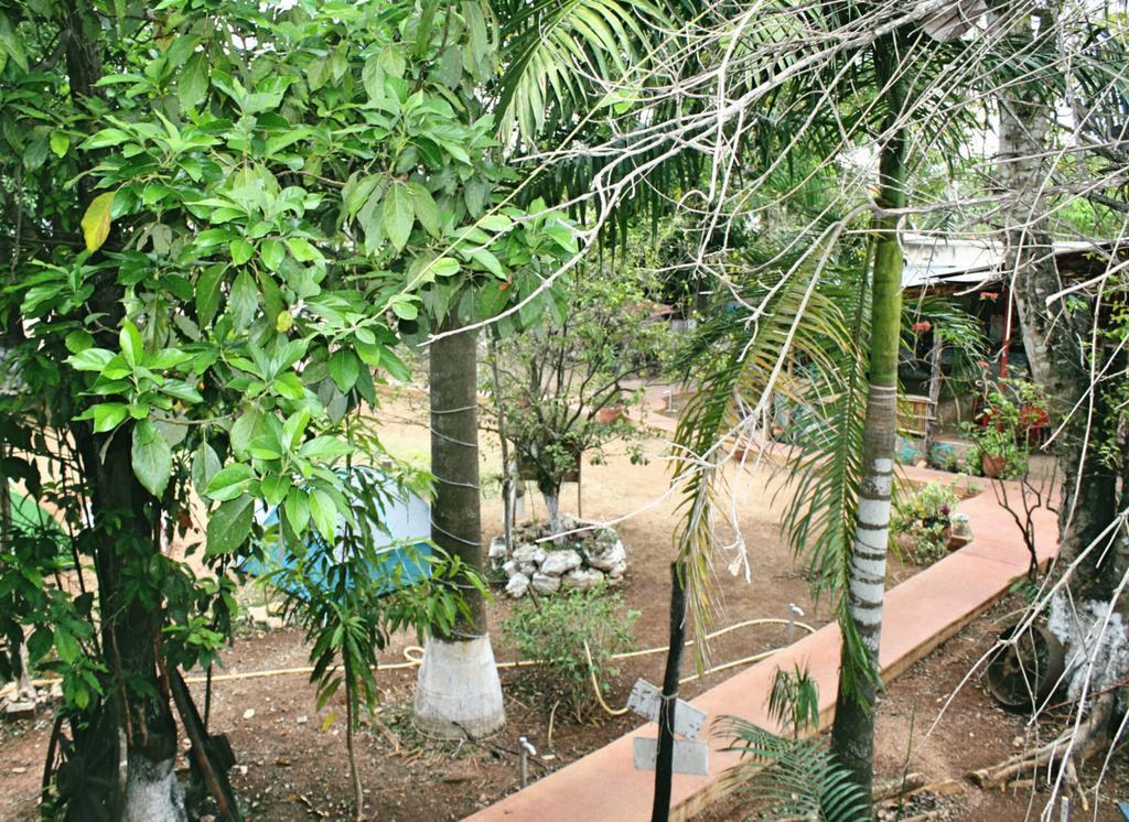 Yaxche Centro Hostal Y Camping Bacalar Bagian luar foto