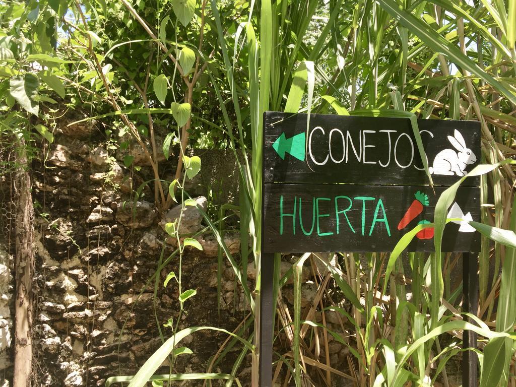 Yaxche Centro Hostal Y Camping Bacalar Bagian luar foto